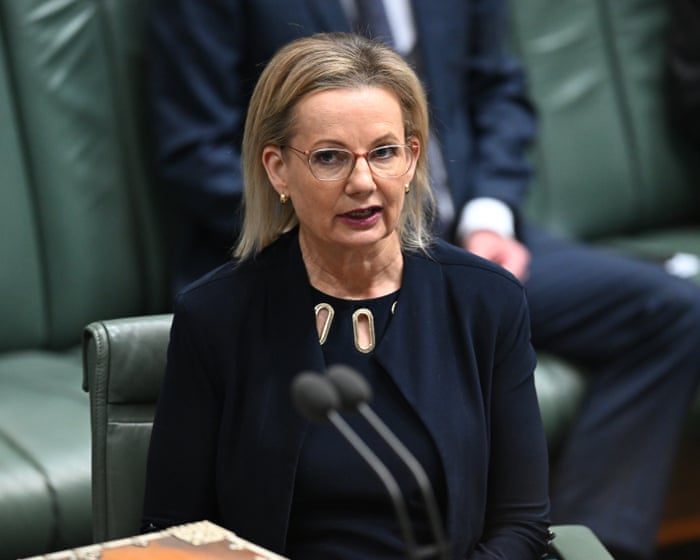 Australia news live: Ley says nuclear a technology ‘we should consider for the future’ after Coalition’s net zero meeting