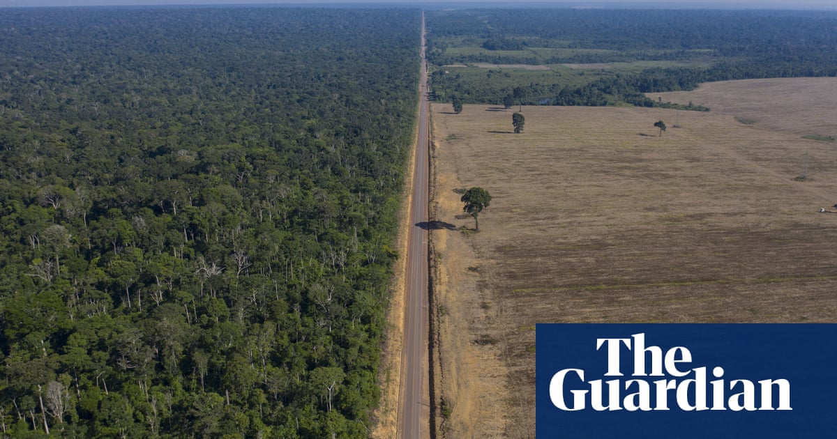UK to push plan to ‘halt and reverse global deforestation by 2030’ at Cop26