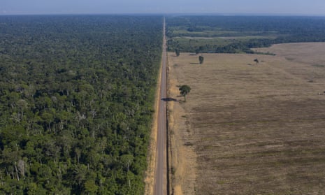 Highway BR-163 separates a soy field and rainforest in Pará state, Brazil.