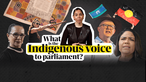 Indigenous voice to parliament: what is it and how would it work? – video explainer