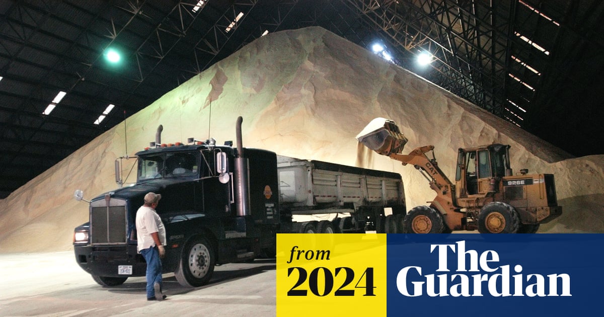 www.theguardian.com
