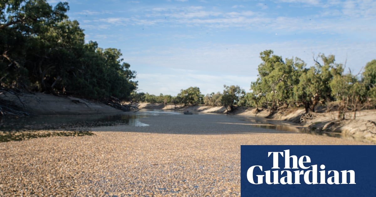 Menindee fish kills: inconsistent pesticide levels sparks calls for review of water testing methods | Australia news