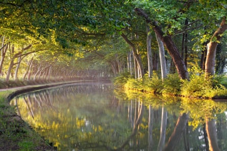A curved stretch of canal with overhanging trees