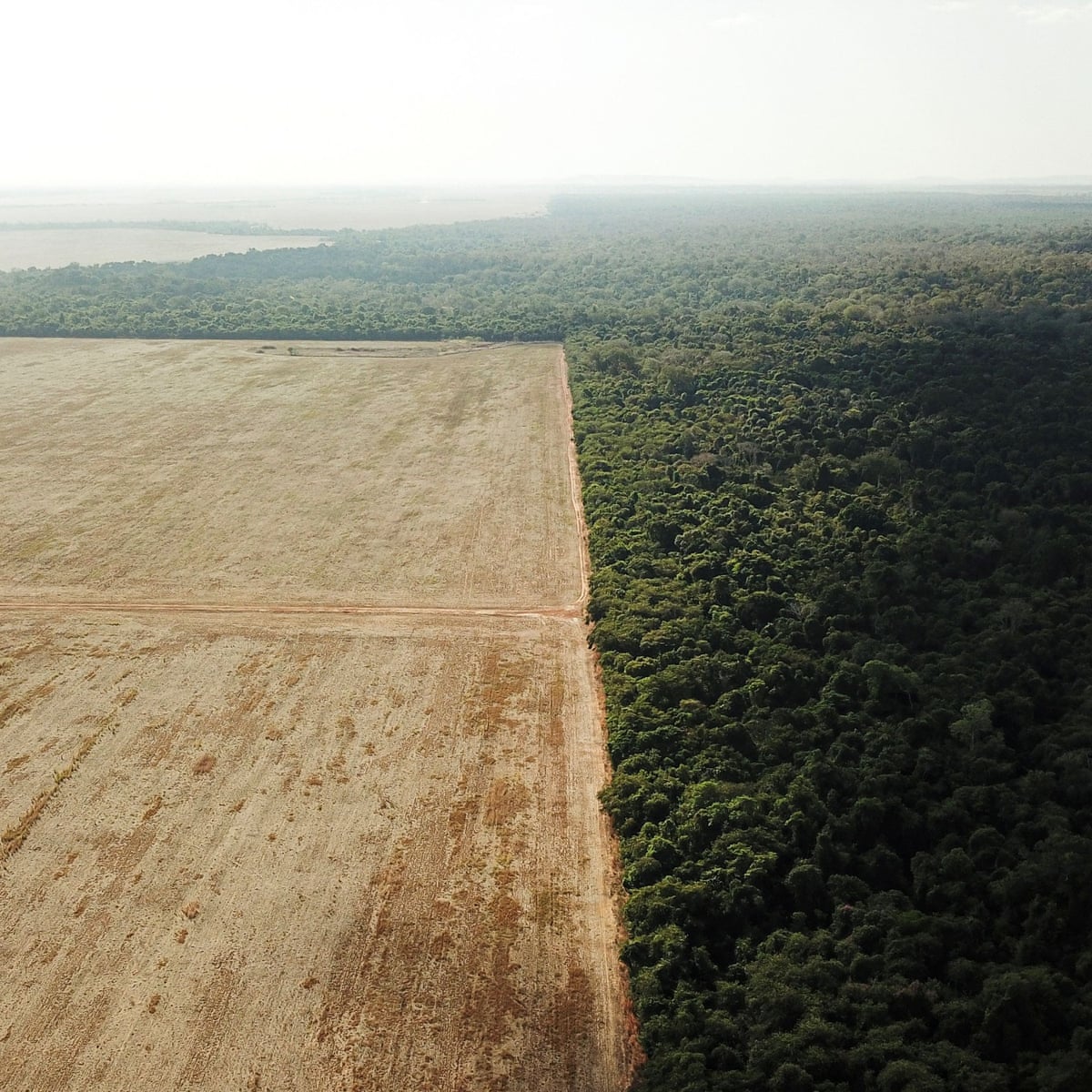 Loophole Allowing For Deforestation On Soya Farms In Brazil S Amazon Environment The Guardian Loophole Allowing For Deforestation On Soya Farms In Brazil S Amazon Environment The Guardian