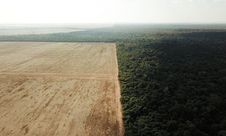 An aerial view shows deforestation near a forest in Nova Xavantina, Mato Grosso state, Brazil.