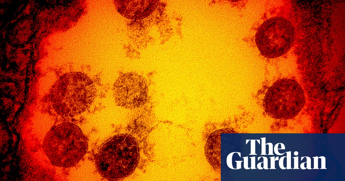 Covid discoveries: what we know now that we didn't know before