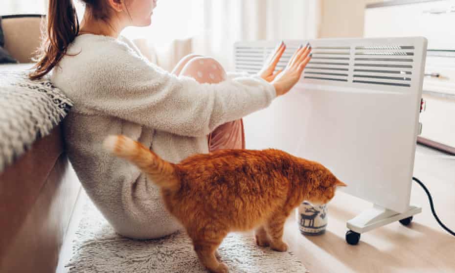 A woman sitting by  a heater with a cat warms her hands