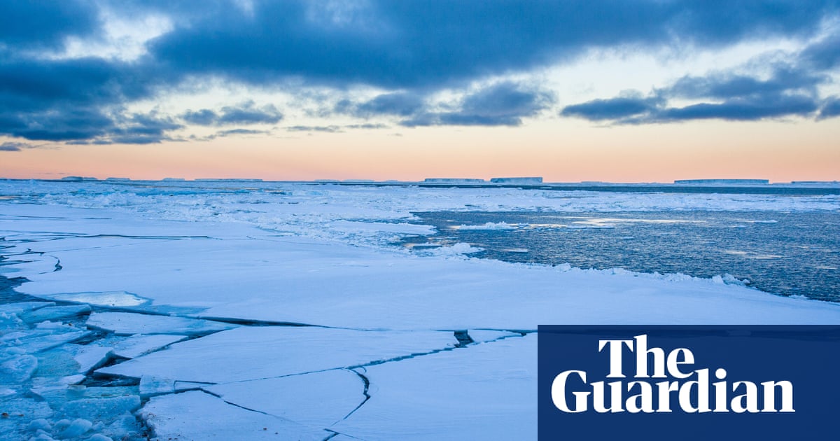 ‘Extreme situation’: Antarctic sea ice hits record low