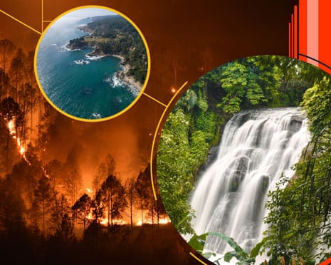 Nature flourishing against image of forest fire at night