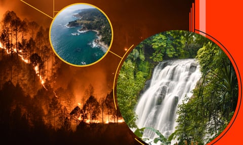 Nature flourishing against image of forest fire at night