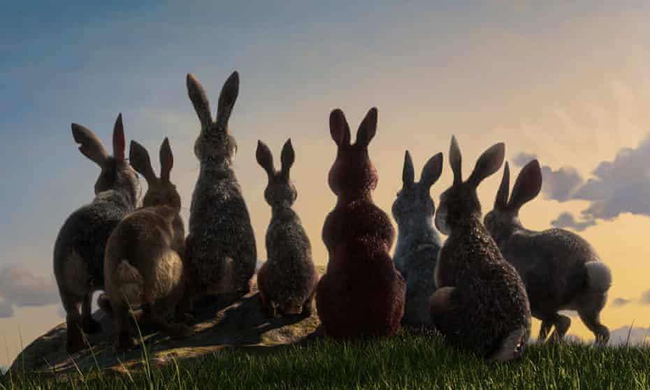 The new version of Watership Down. The original book’s author Richard Adams came up with the story to keep his daughters happy on a long car journey. 
