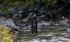 Missing Japanese boy left in mountains as punishment, say police