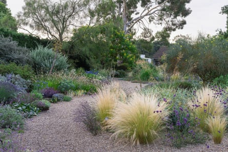 Grasses around a sweep of gravel