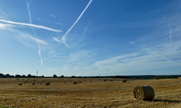 Sunshine over barley fields in Oxfordshire.