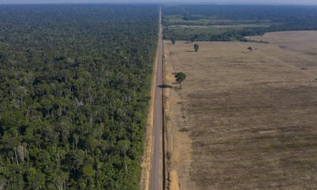 Deforestation for soy farming