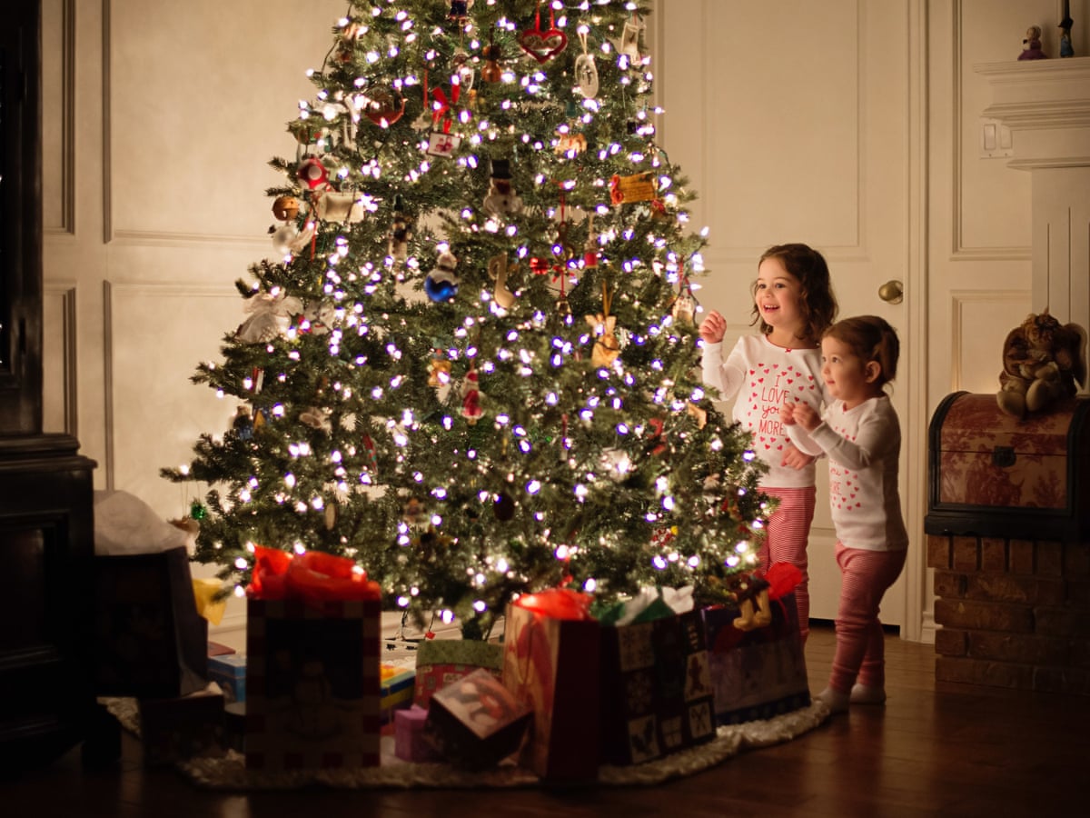 Christmas Trees Unlikely To Contain Lyme Infected Ticks Misbar