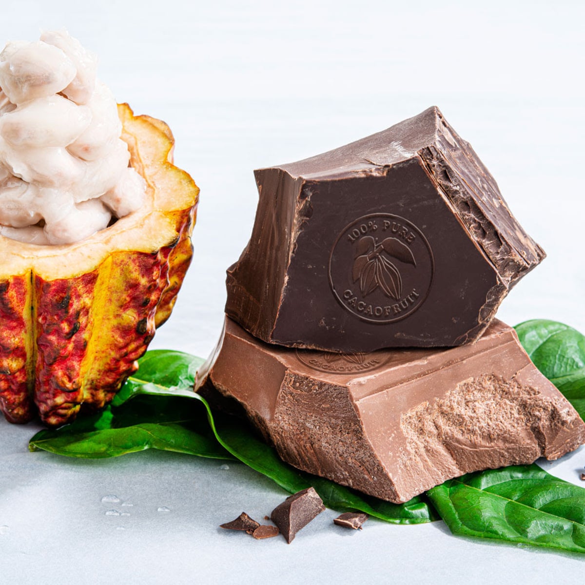 Get New Wholefruit Chocolate Cuts Waste By Using Entire Cacao Fruit Free Wallpaper New Wholefruit Chocolate Cuts Waste By Using Entire Cacao Fruit For iPhone