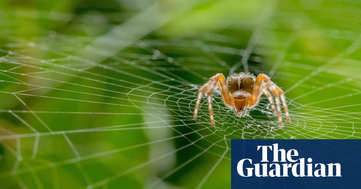 British Wildlife Photography Awards 2019 Winners In Pictures