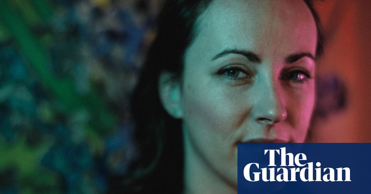 The Dinner Party by Viola van de Sandt review a formidable debut