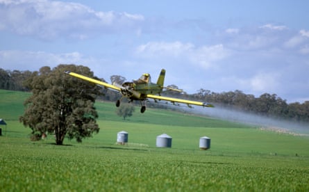 Crop duster plane spraying pesticide on wheat crop