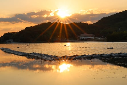 Solar panels on water with sunset behind