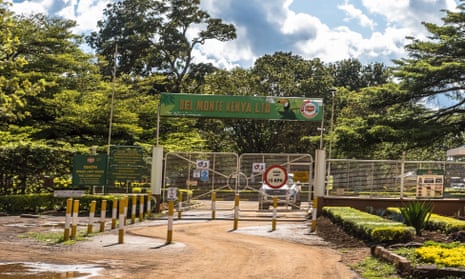 The main entrance at the Del Monte headquarters in Murang'a county, Kenya.