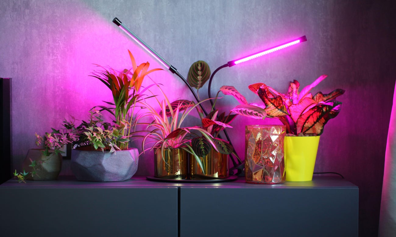 LED plant lighting