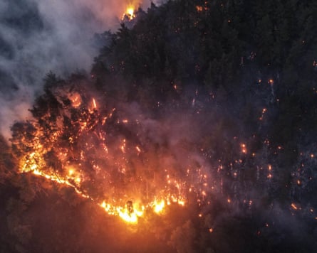 Blaze among trees