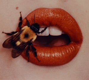 Bee, New York, 1995