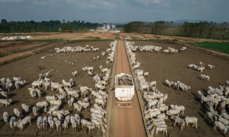 Ranchers loading feed pens for cattle on a farm in Maraba, Para state, Brazil, in 2021.
