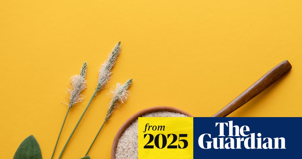 Psyllium husk is being touted as ‘nature’s Ozempic’ – here’s what experts say