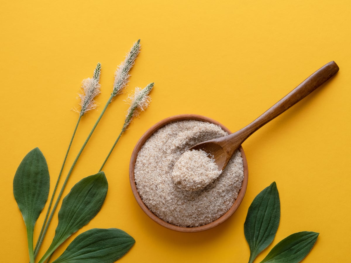 Psyllium husk is being touted as 'nature's Ozempic' here's what experts say | Well actually | The Guardian Psyllium husk is being touted as 'nature's Ozempic' here's what experts say | Well actually | The Guardian