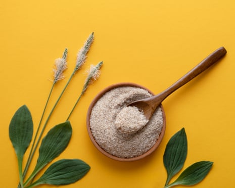 Psyllium husk is being touted as 'nature's Ozempic' here's what experts say | Well actually | The Guardian Psyllium husk is being touted as 'nature's Ozempic' here's what experts say | Well actually | The Guardian