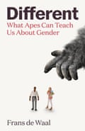 Cover of Different: What Apes Can Teach Us About Gender