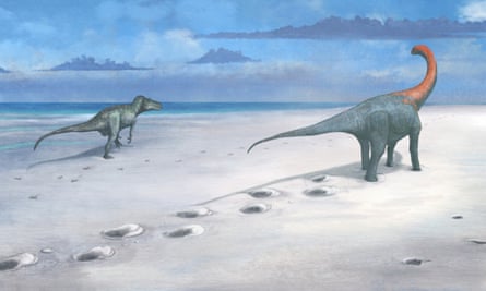 A megalosaurus and cetiosaurus leaving footprints as they walk beside water