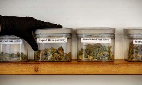 A selection of cannabis varieties at a coffee shop in The Hague. The Netherlands is running an experimental scheme in legal production of the drug.