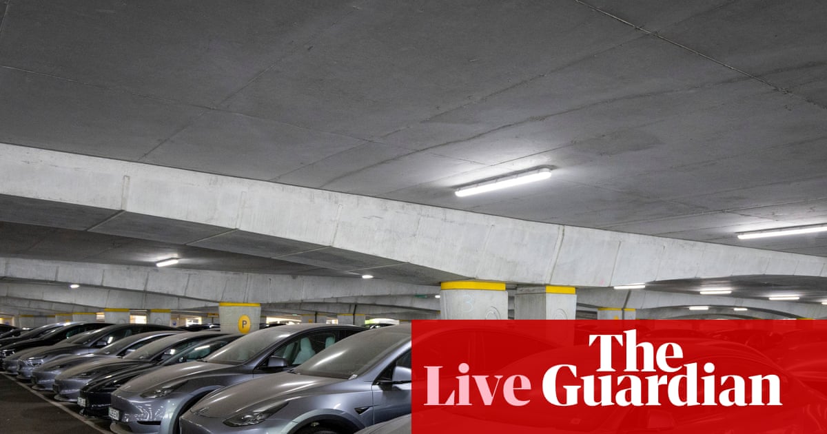 Tesla sales fell 40% across Europe in July as rival BYD pulled ahead  business live