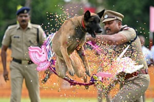 Confetti explodes as dog bursts through a hoop held by an officer