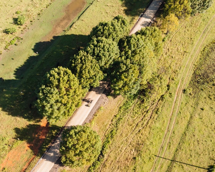 Canefields to ocean to rolling hills: vision splendid of 135km northern NSW rail trail short-changed