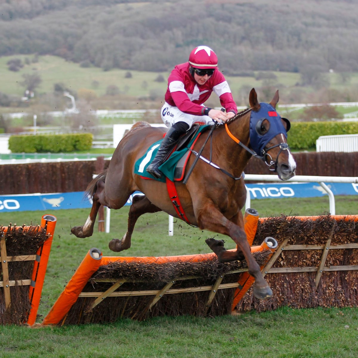 Talking Horses Why Gordon Elliott Was The Festival Handicap King Horse Racing Tips The Guardian