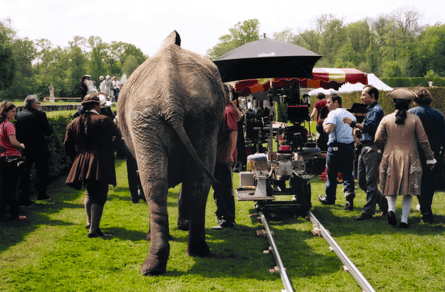 An elephant walking beside a camera on tracks