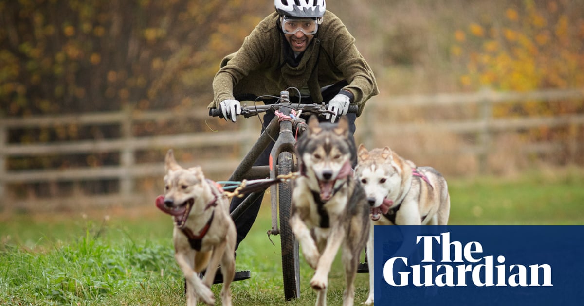 Rhik Samadder tries ... mushing: 'I've never known animal joy like it!' | Life and style | The Guardian