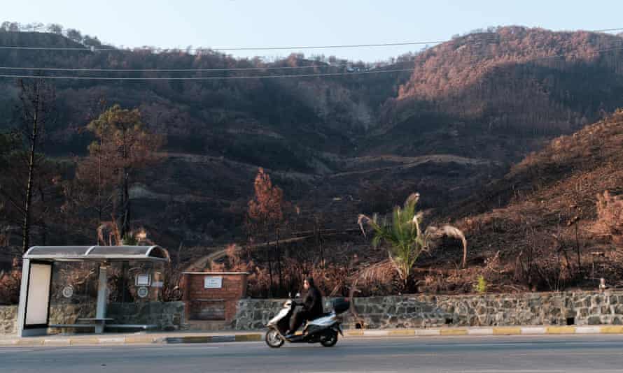 An area ravaged by fire in Marmaris.