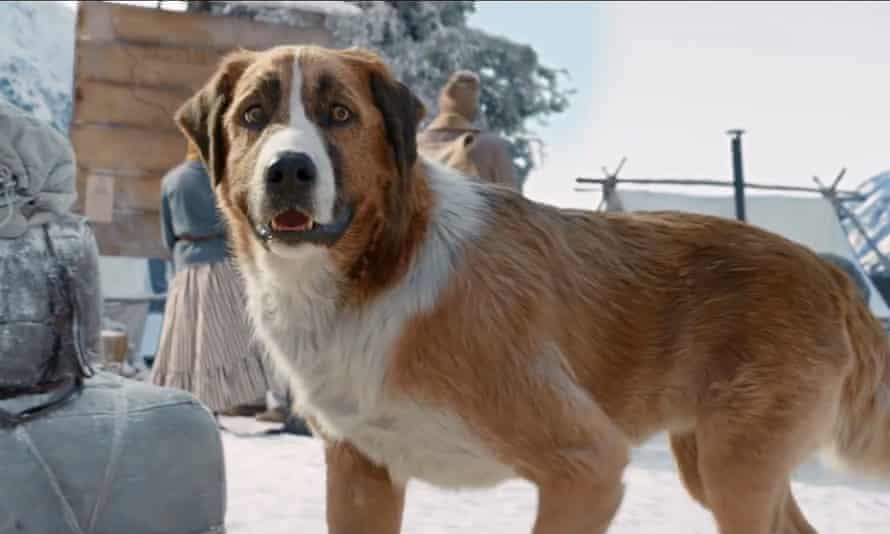 The Call Of The Wild Review A Remake With Little Bite Action And Adventure Films The Guardian The Call Of The Wild Review A Remake With Little Bite Action And Adventure Films The Guardian