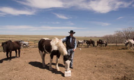 South Dakota state senator Troy Heinert tends to his rodeo horses on the Rosebud Indian Reservation.