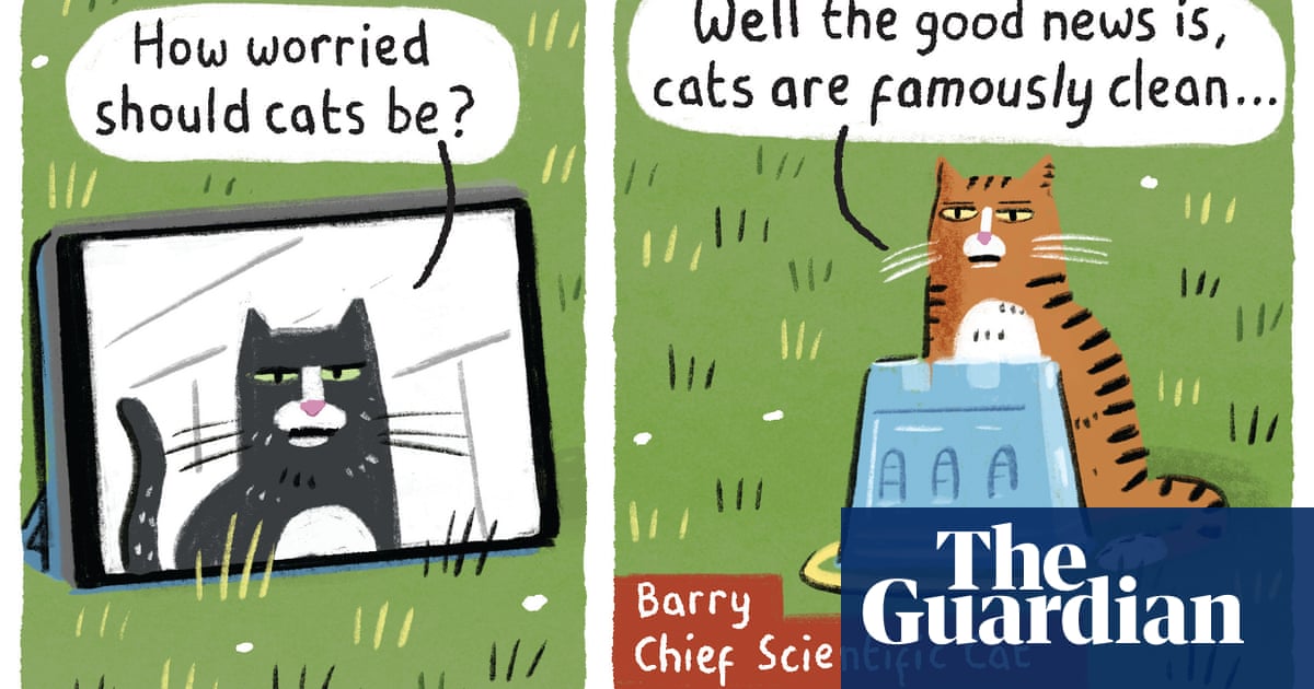 Stephen Collins on cats – cartoon | Life and style | The Guardian