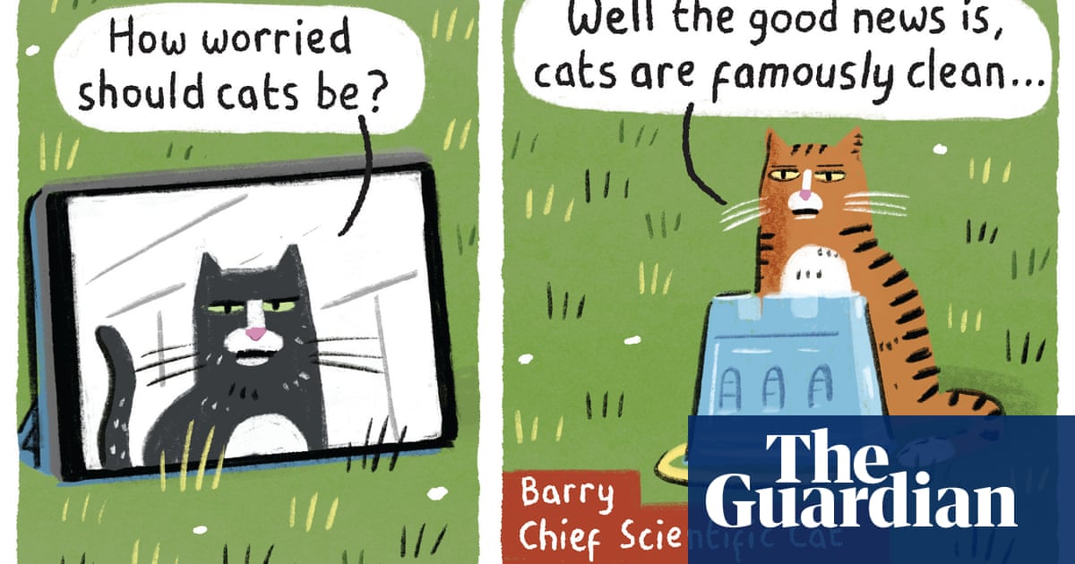 Stephen Collins on cats – cartoon | Life and style | The Guardian Stephen Collins on cats – cartoon | Life and style | The Guardian