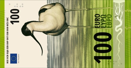 A €100 design featuring an avocet