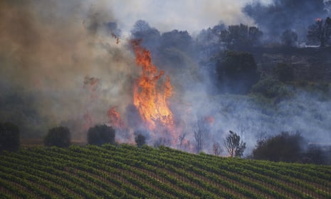 A wildfire seen behind a vineyard in Spain