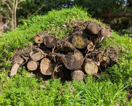 HibernaculumManmade hibernaculum for insects and small animals